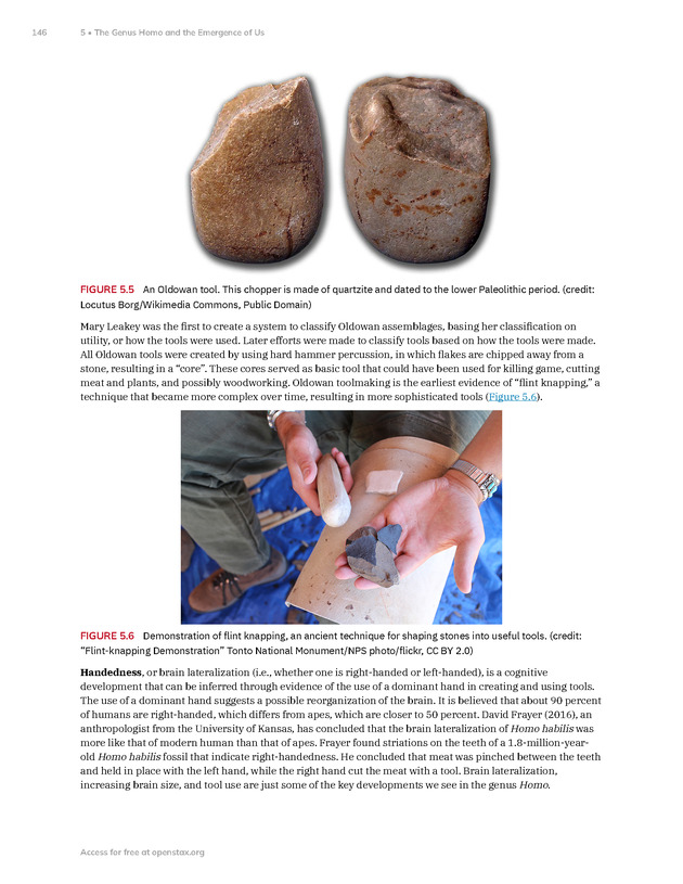 Introduction to Anthropology - New Page