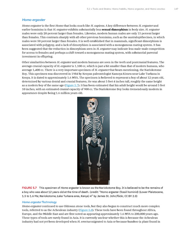 Introduction to Anthropology - New Page