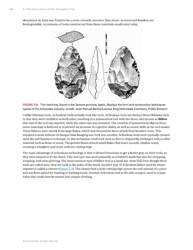 Introduction to Anthropology - New Page