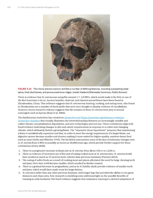 Introduction to Anthropology - New Page