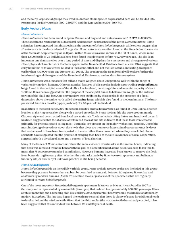 Introduction to Anthropology - New Page