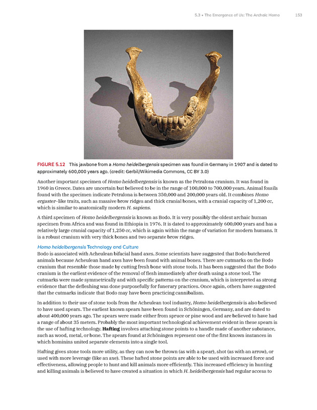 Introduction to Anthropology - New Page