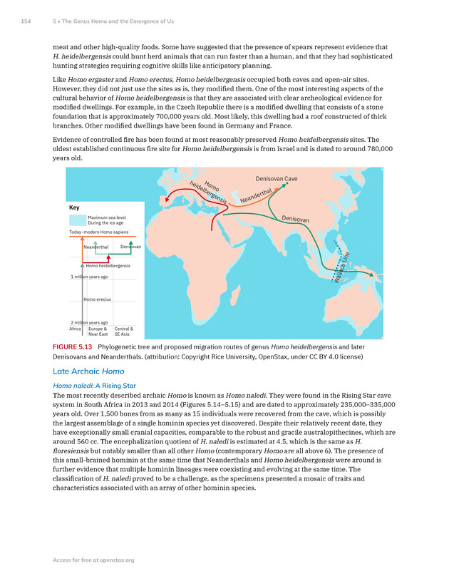 Introduction to Anthropology - New Page
