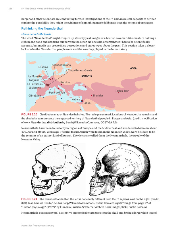 Introduction to Anthropology - New Page