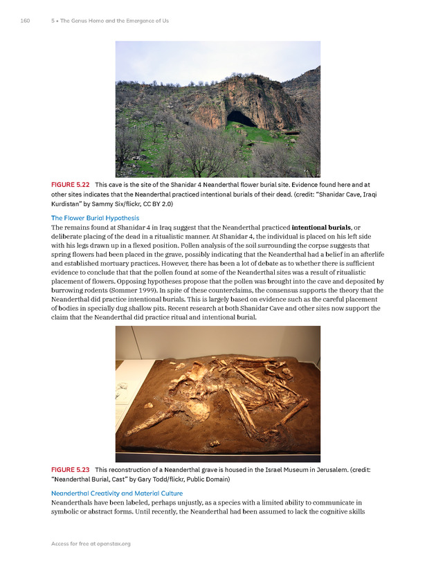 Introduction to Anthropology - New Page