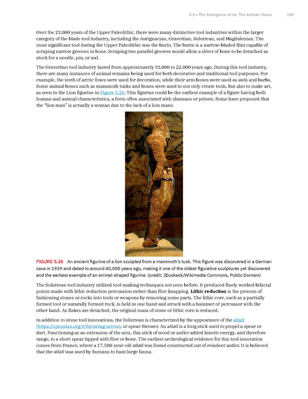 Introduction to Anthropology - New Page