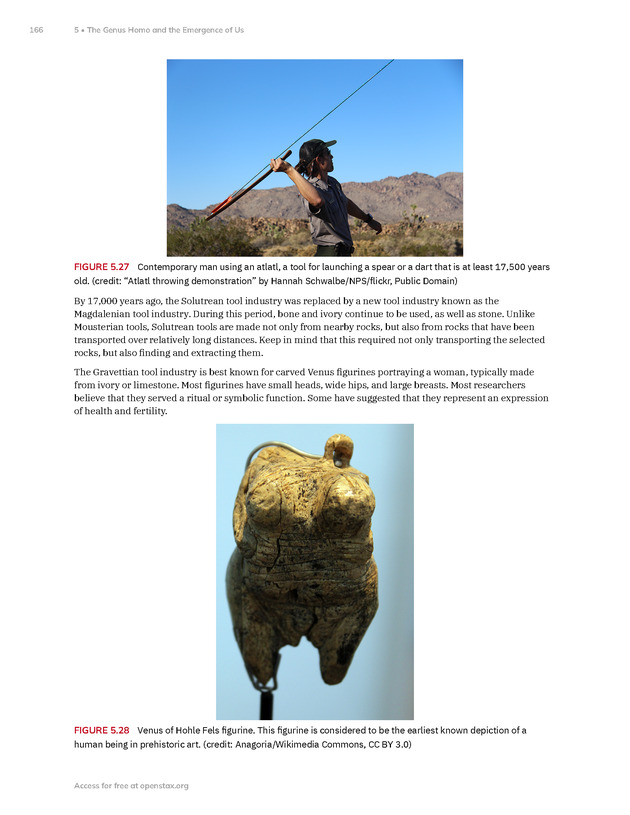 Introduction to Anthropology - New Page
