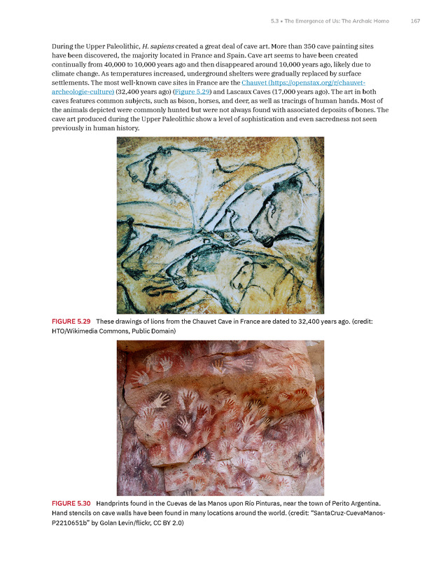 Introduction to Anthropology - New Page