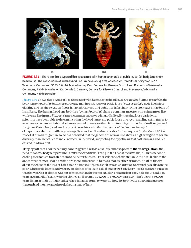 Introduction to Anthropology - New Page