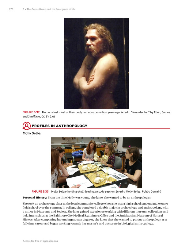 Introduction to Anthropology - New Page