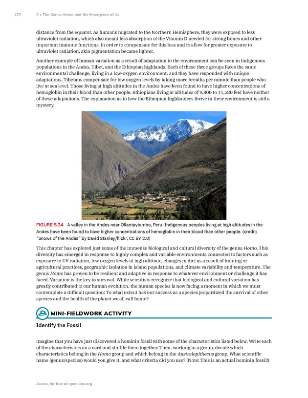 Introduction to Anthropology - New Page