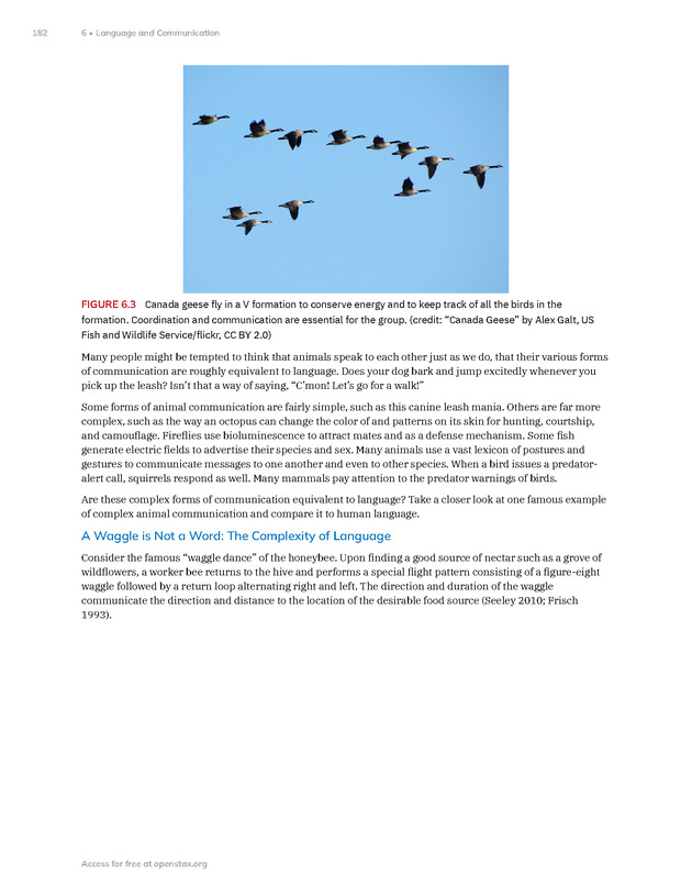 Introduction to Anthropology - New Page