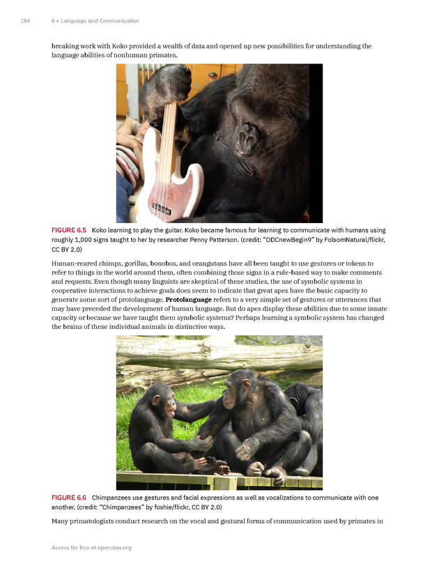Introduction to Anthropology - New Page
