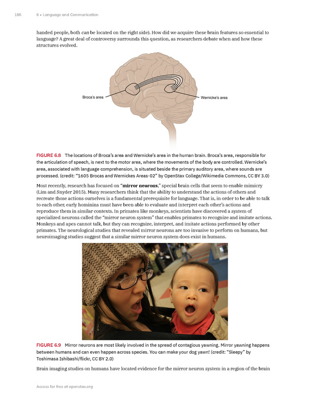 Introduction to Anthropology - New Page