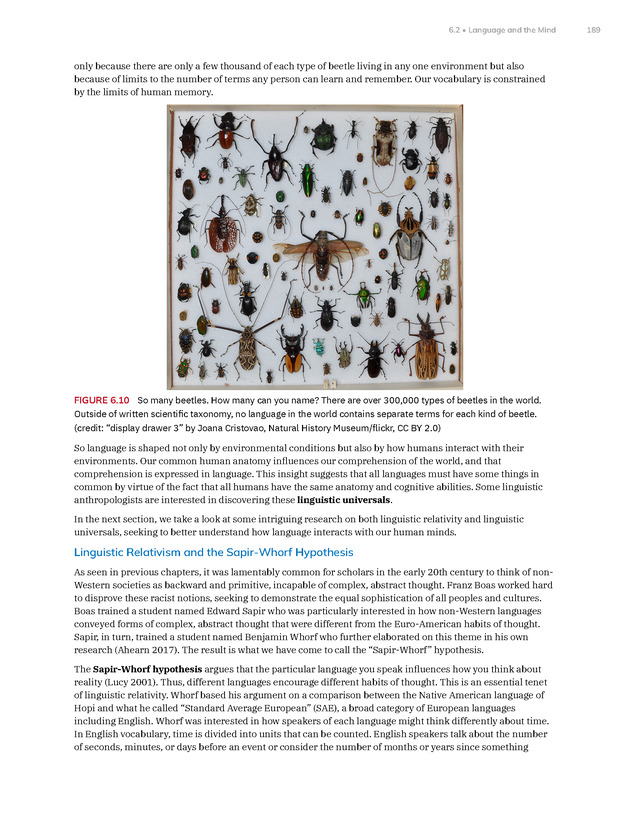 Introduction to Anthropology - New Page
