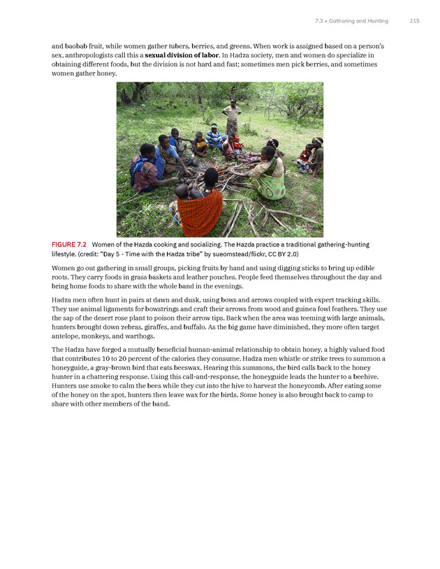 Introduction to Anthropology - New Page