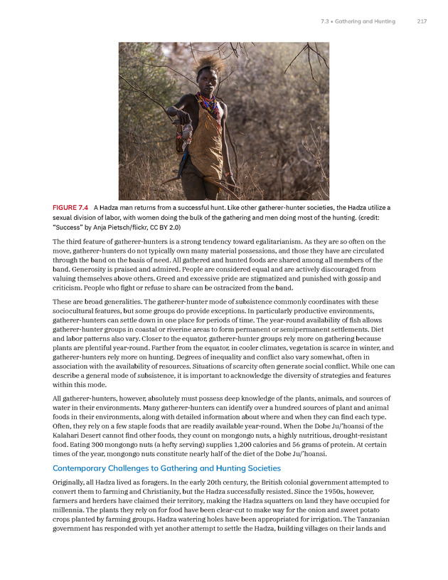 Introduction to Anthropology - New Page