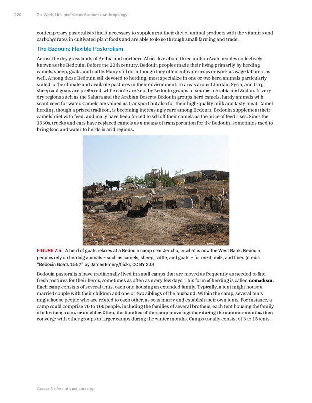Introduction to Anthropology - New Page