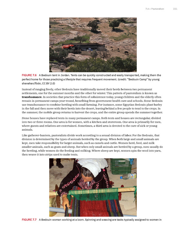Introduction to Anthropology - New Page