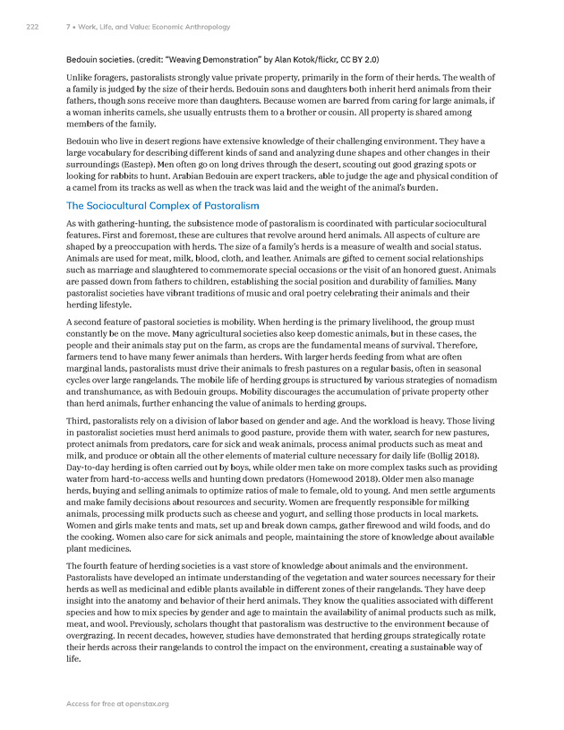 Introduction to Anthropology - New Page