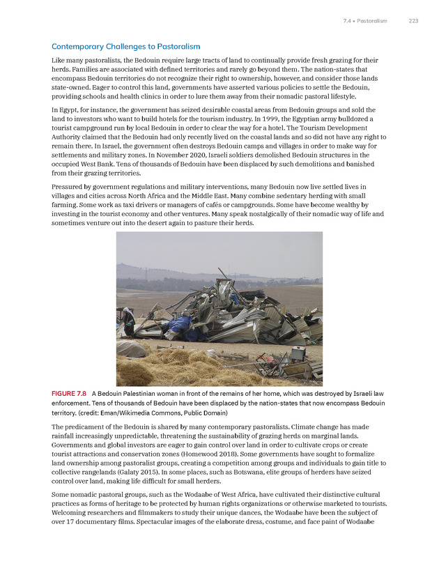 Introduction to Anthropology - New Page