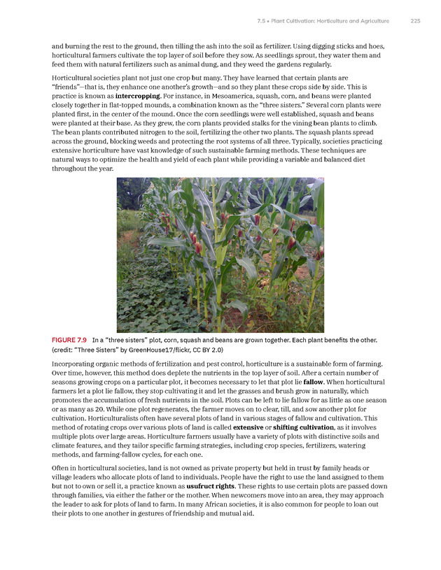 Introduction to Anthropology - New Page