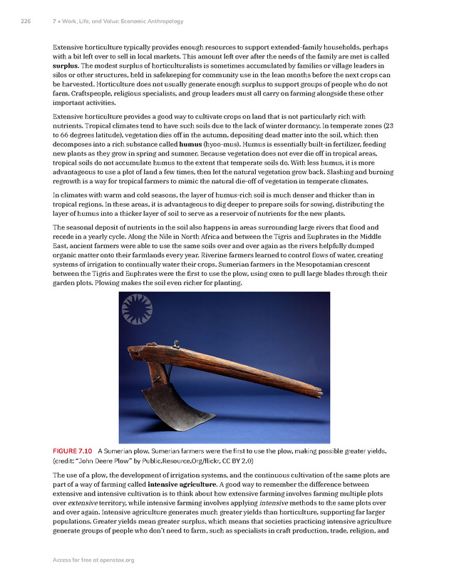 Introduction to Anthropology - New Page
