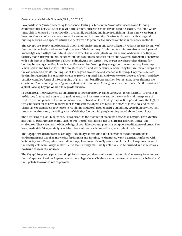 Introduction to Anthropology - New Page