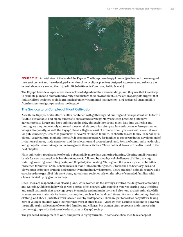 Introduction to Anthropology - New Page