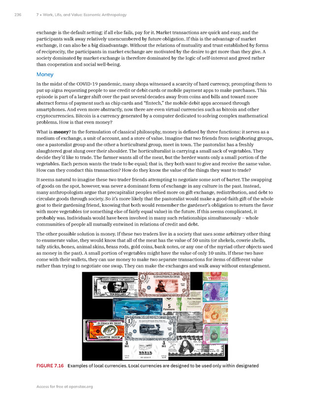 Introduction to Anthropology - New Page