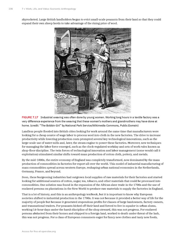 Introduction to Anthropology - New Page