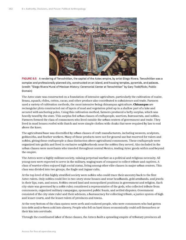 Introduction to Anthropology - New Page