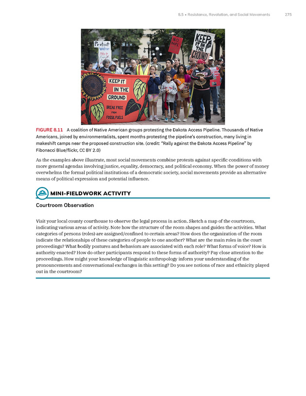 Introduction to Anthropology - New Page