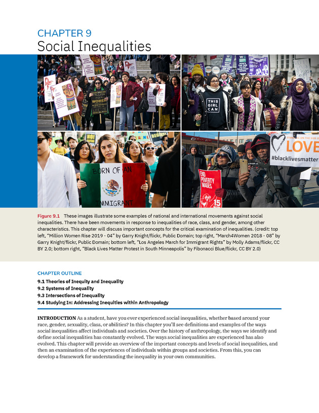 Introduction to Anthropology - New Page