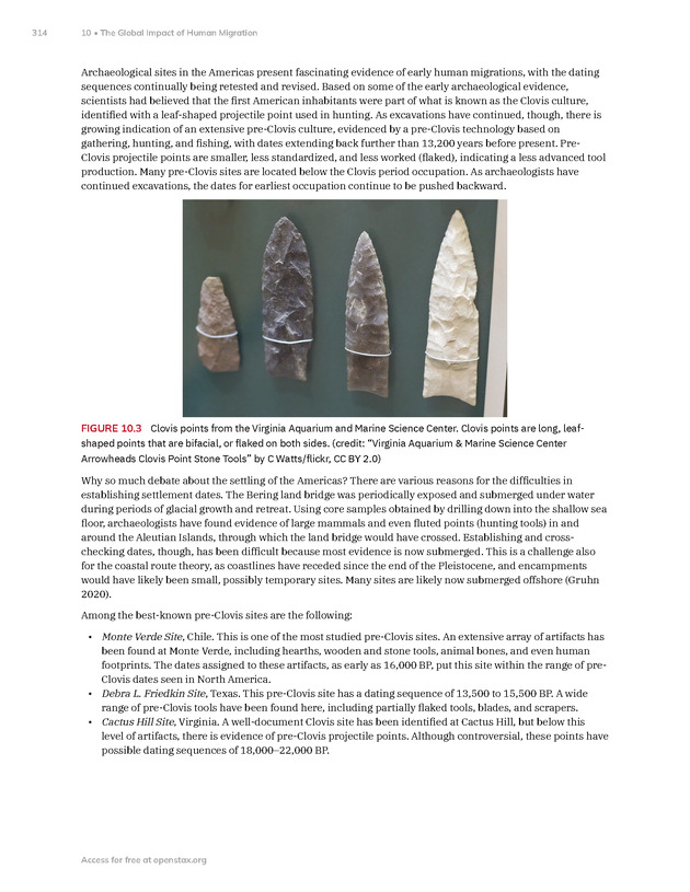 Introduction to Anthropology - New Page