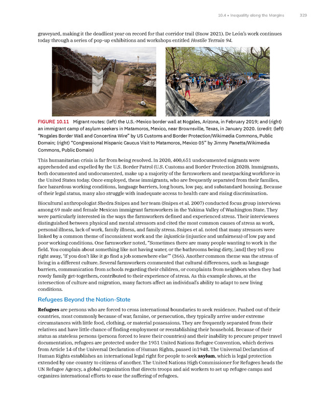 Introduction to Anthropology - New Page