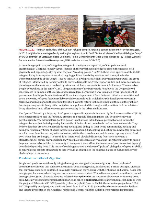 Introduction to Anthropology - New Page