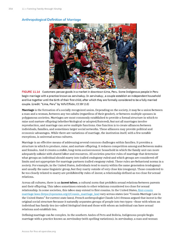 Introduction to Anthropology - New Page