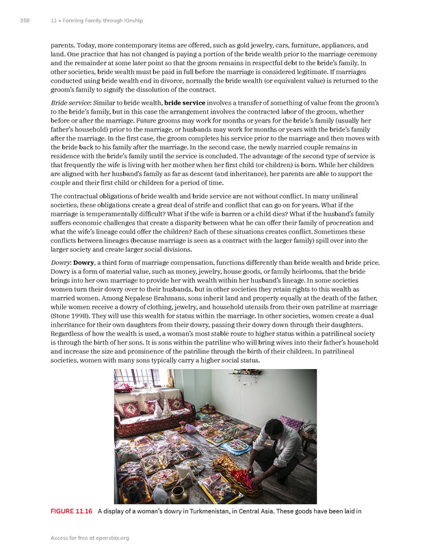 Introduction to Anthropology - New Page