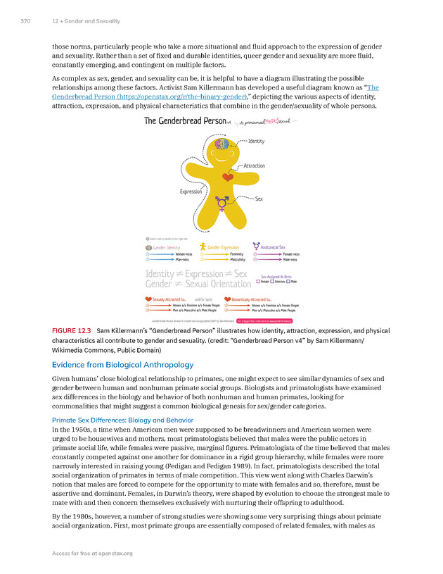 Introduction to Anthropology - New Page