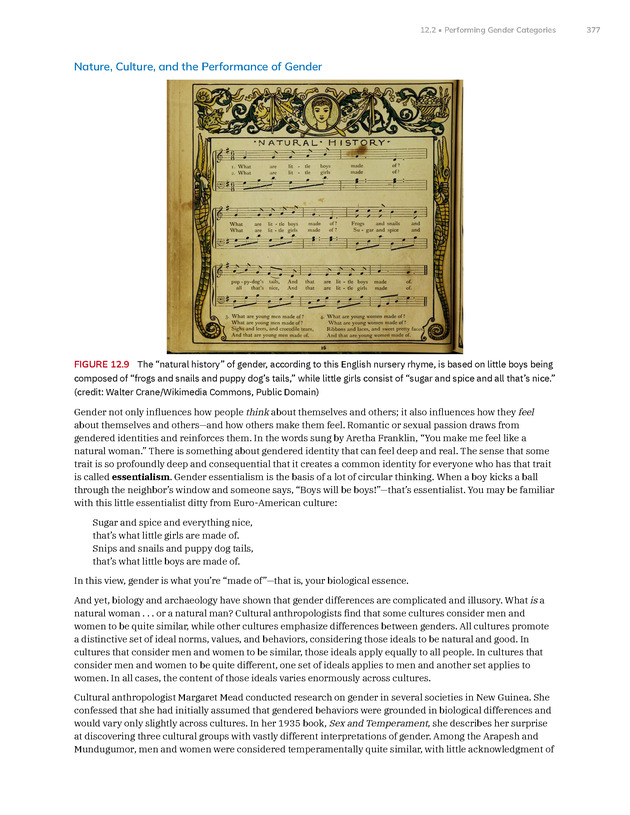 Introduction to Anthropology - New Page
