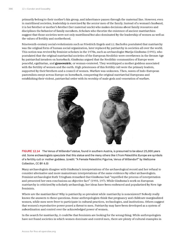 Introduction to Anthropology - New Page