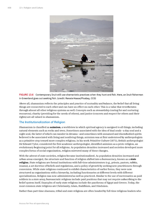 Introduction to Anthropology - New Page