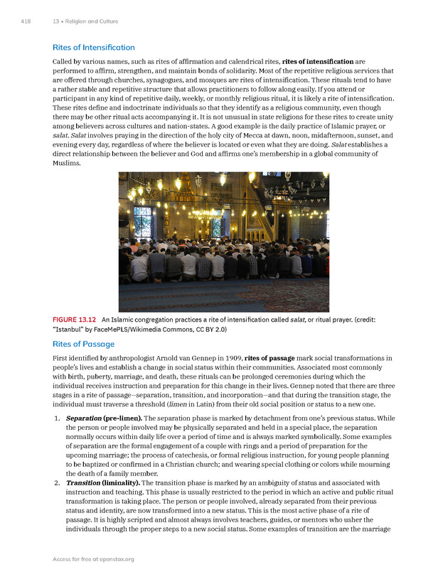 Introduction to Anthropology - New Page