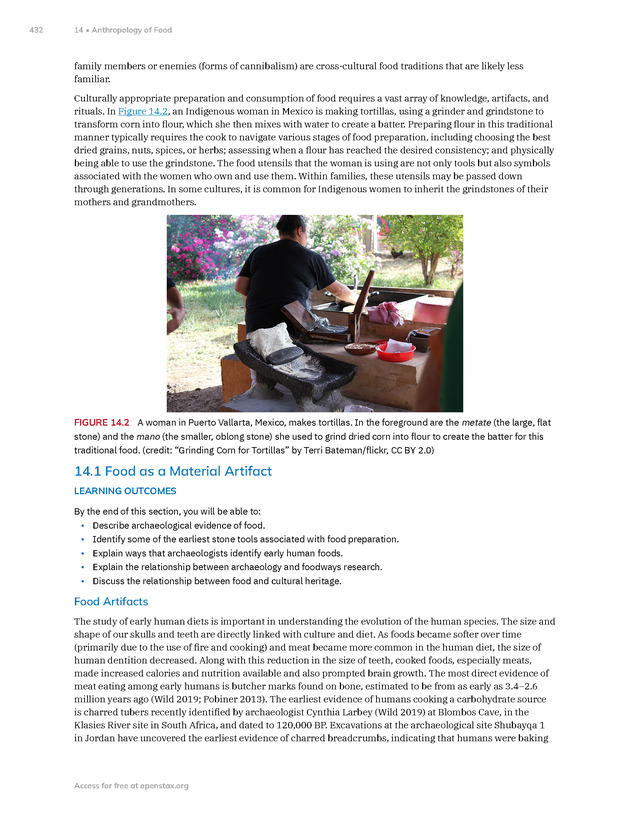 Introduction to Anthropology - New Page