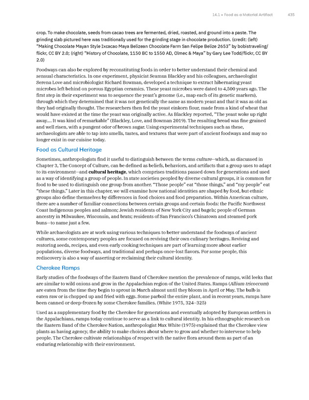 Introduction to Anthropology - New Page