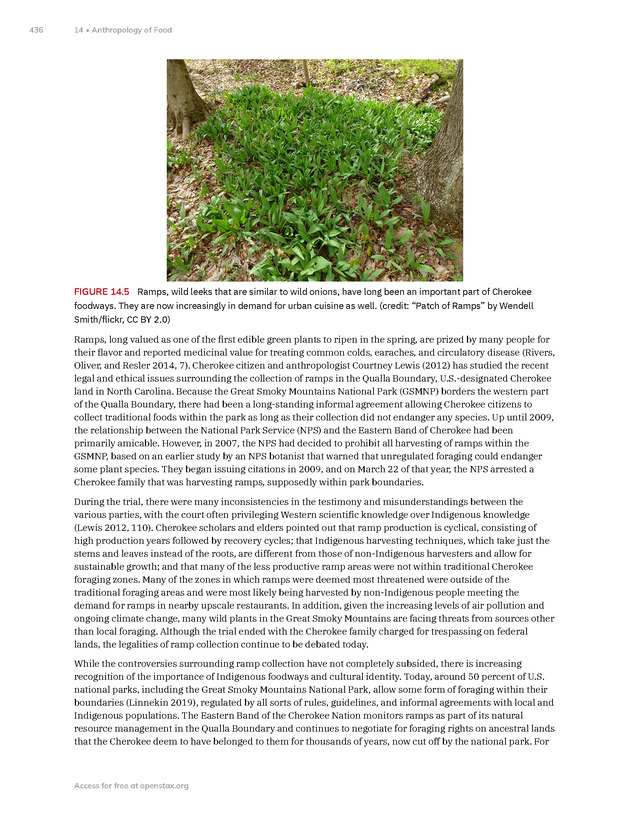 Introduction to Anthropology - New Page