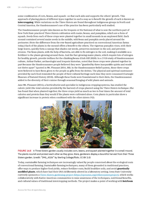 Introduction to Anthropology - New Page