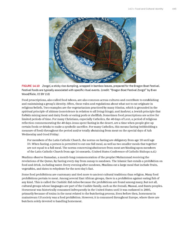 Introduction to Anthropology - New Page