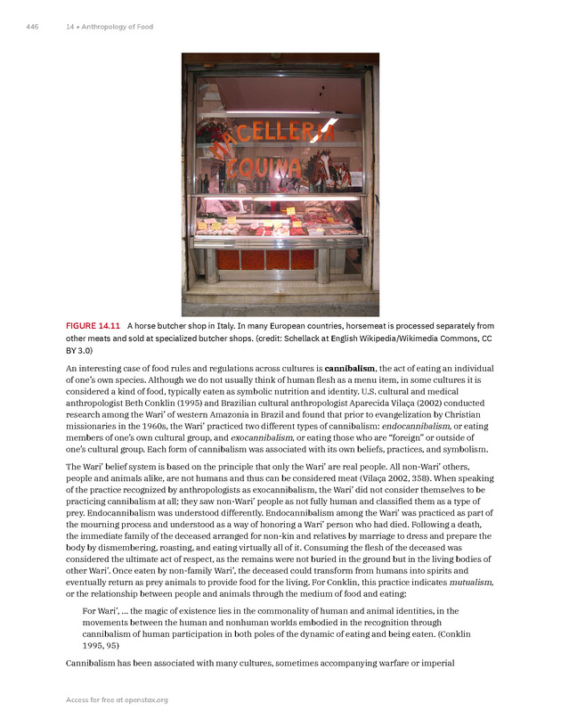 Introduction to Anthropology - New Page